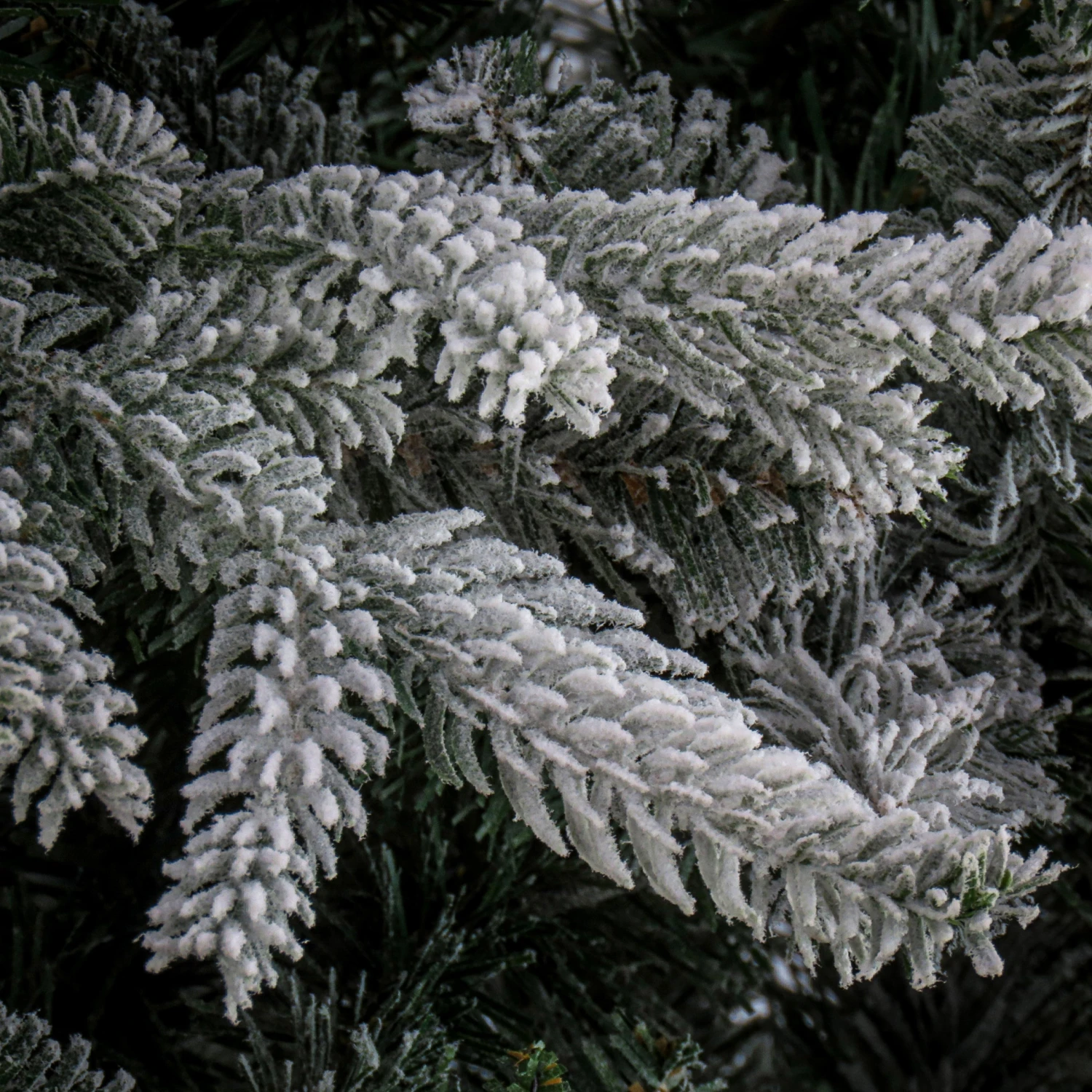 7.5 Ft. Holliston Tree 3 7.5 Ft. Holliston Tree - Image 3