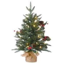 2 Ft. Pre-Lit Happy Hill Pine Tree With LED Lights
