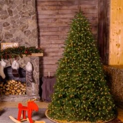 10 Ft. Pre-Lit Jersey Fraser Fir Medium Tree With Dual Color LED Lights 5 10 Ft. Pre-Lit Jersey Fraser Fir Medium Tree With Dual Color LED Lights -Christmas Trees Sales PEJF1 302LD 100 2