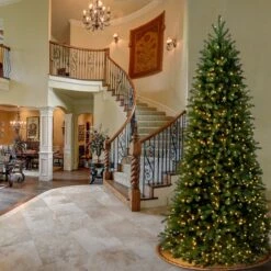 9 Ft. Pre-Lit Jersey Fraser Fir Slim Tree With Clear Lights 5 9 Ft. Pre-Lit Jersey Fraser Fir Slim Tree With Clear Lights -Christmas Trees Sales PEJF1 304 90 2