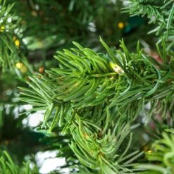 10 Ft. Pre-Lit Lark Pine Feel Real Medium Tree With Warm White LED Rice Lights 9 10 Ft. Pre-Lit Lark Pine Feel Real Medium Tree With Warm White LED Rice Lights -Christmas Trees Sales PELK13 308L 100 3