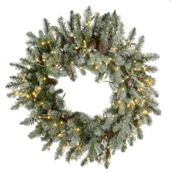 24 In. Pre-Lit Snowy Morgan Spruce Wreath With Dual Color LED Lights