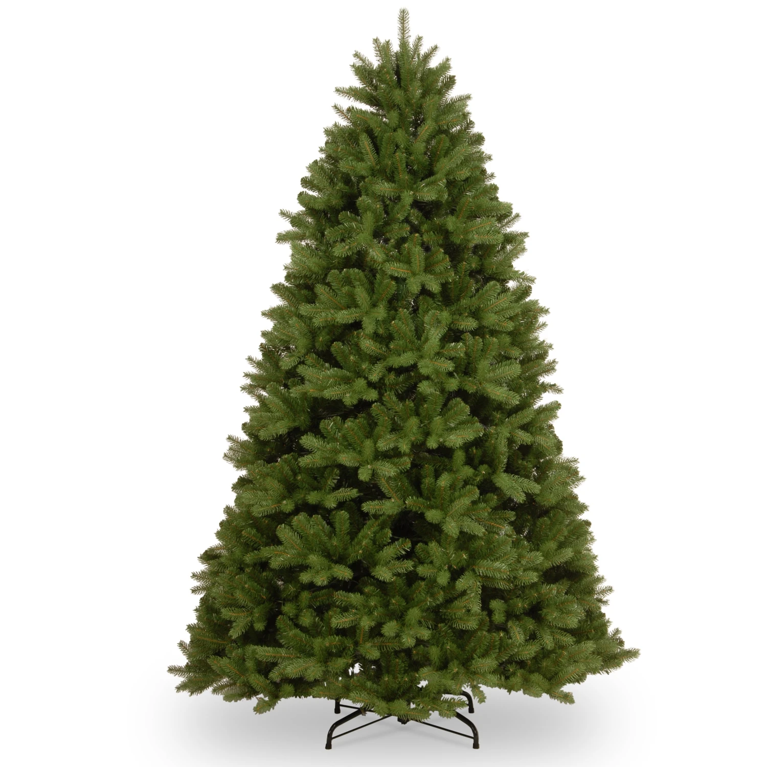 7.5 Ft. Newberry Spruce Tree 1 7.5 Ft. Newberry Spruce Tree