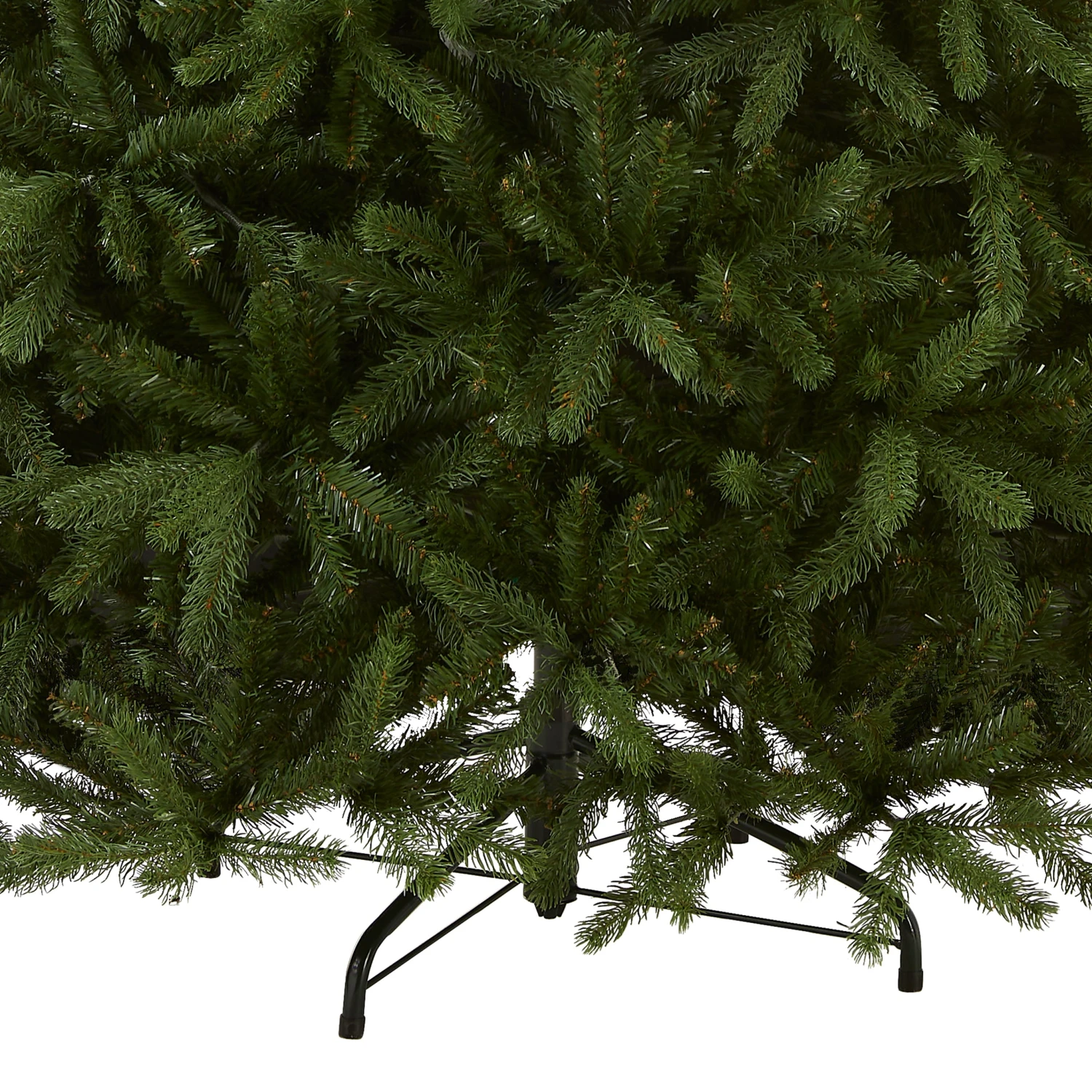 7.5 Ft. Newberry Spruce Tree 4 7.5 Ft. Newberry Spruce Tree - Image 4