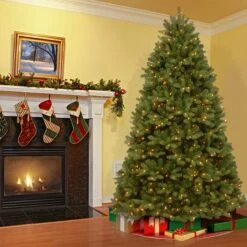 8 Ft. Pre-Lit Newberry Spruce Tree With PowerConnect Dual Color LED Lights 13 8 Ft. Pre-Lit Newberry Spruce Tree With PowerConnect Dual Color LED Lights -Christmas Trees Sales PEND2 D13 80 2