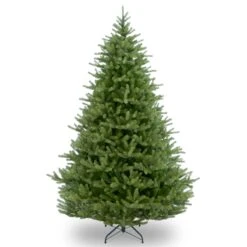 7.5 Ft. Norway Fir Tree 17 7.5 Ft. Norway Fir Tree -Christmas Trees Sales PENF1 500 75