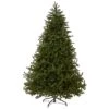 7.5 Ft. Norway Fir Tree