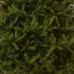 7.5 Ft. Norway Fir Tree 15 7.5 Ft. Norway Fir Tree -Christmas Trees Sales PENF1 500 75 Silo C1