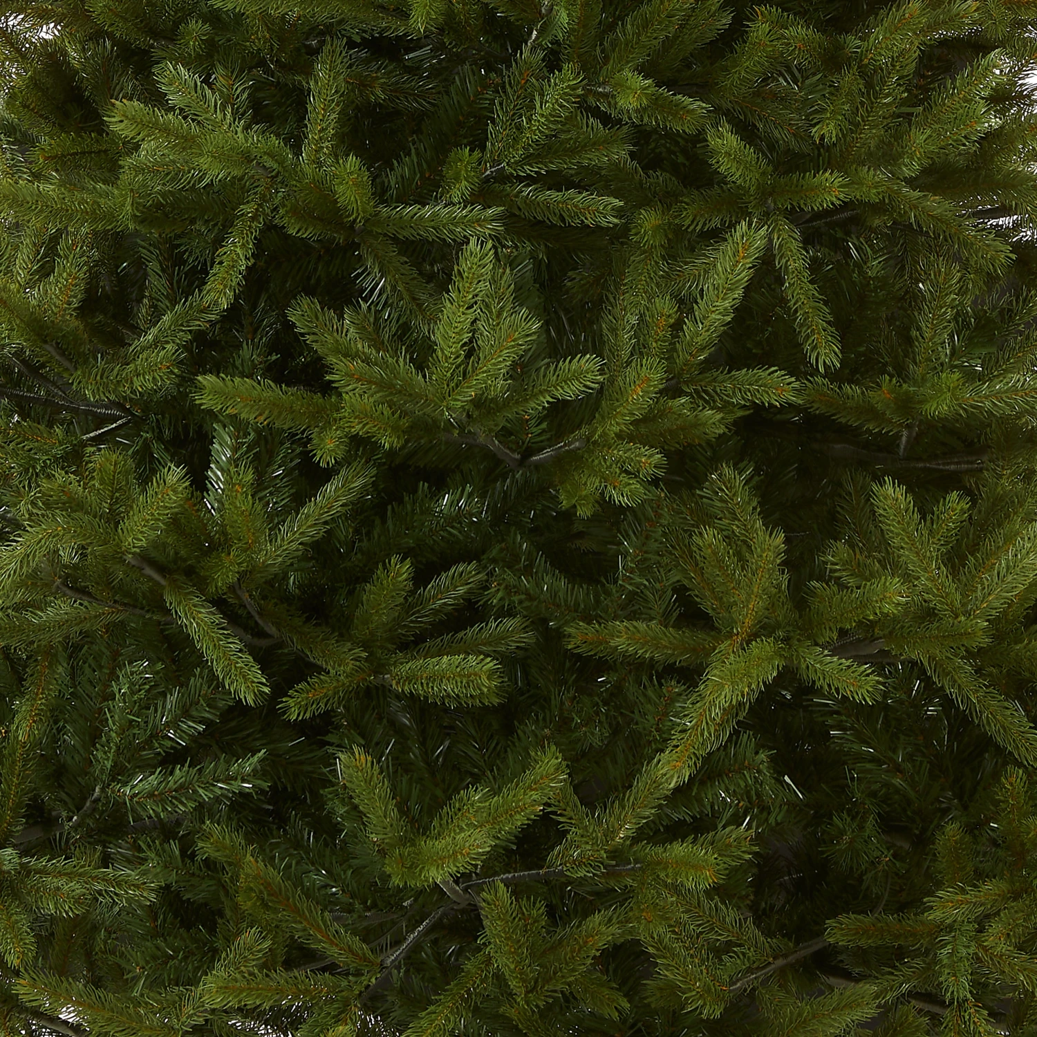 7.5 Ft. Norway Fir Tree 4 7.5 Ft. Norway Fir Tree - Image 4