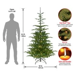 6.5 Ft. Pre-Lit Norwegian Spruce Tree With Clear Lights 11 6.5 Ft. Pre-Lit Norwegian Spruce Tree With Clear Lights -Christmas Trees Sales PENG4 300 65 Dim