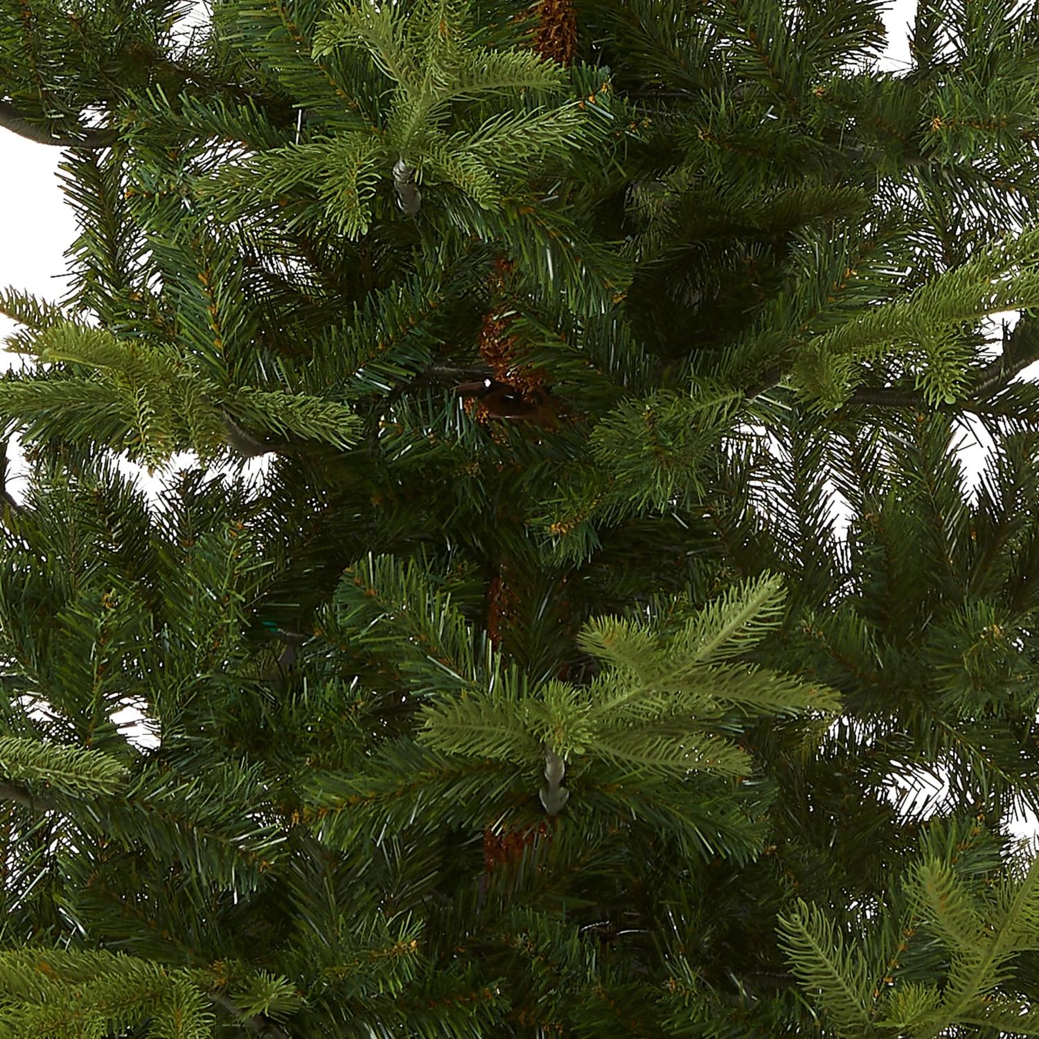 7.5 Ft. Norwegian Spruce Tree 3 7.5 Ft. Norwegian Spruce Tree - Image 3