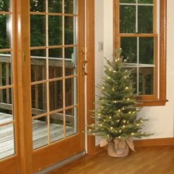 3 Ft. Pre-Lit Nordic Spruce Tree With Clear Lights 5 3 Ft. Pre-Lit Nordic Spruce Tree With Clear Lights -Christmas Trees Sales PENS1 333 30 1 2