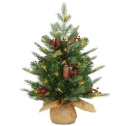 2 Ft. Pre-Lit Nordic Spruce Tree WithLED Lights