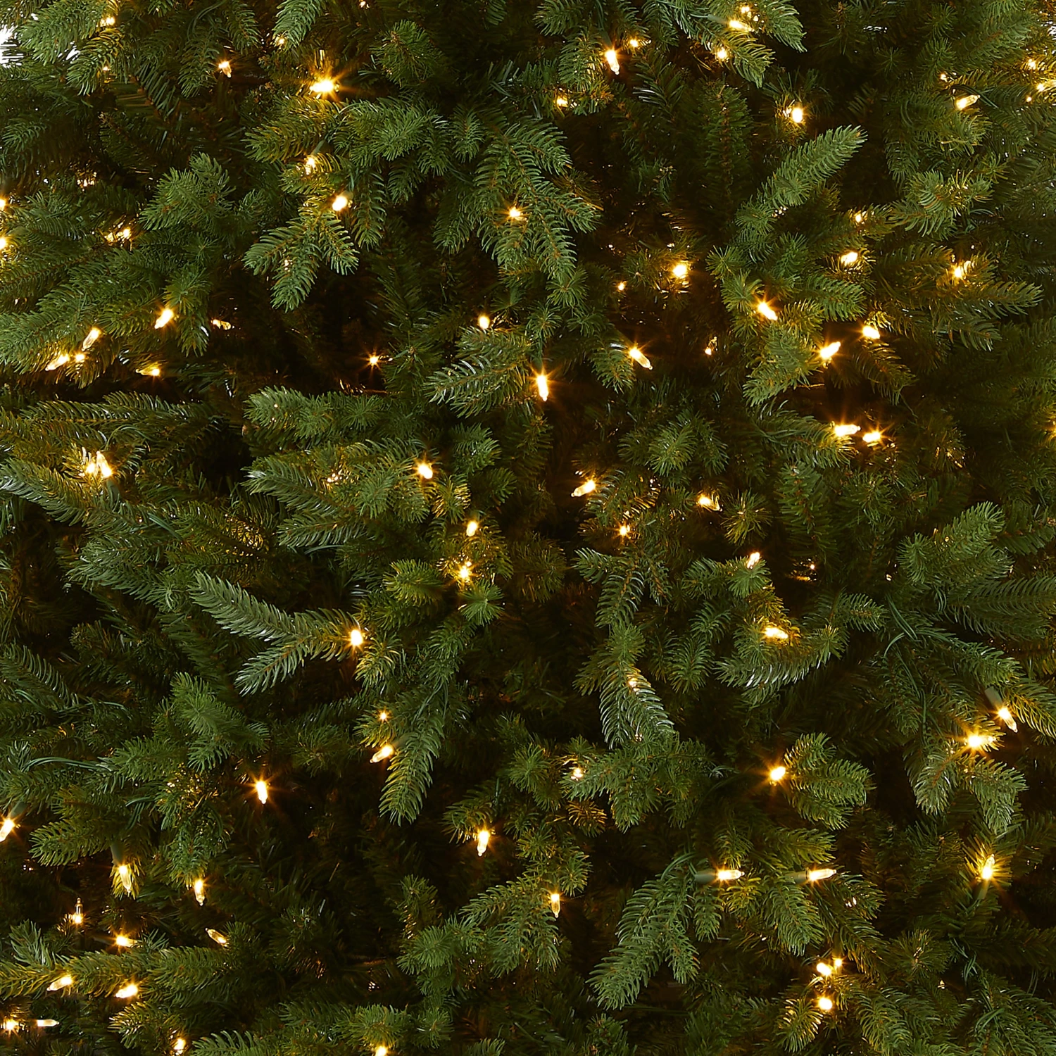 7.5 Ft. Pre-Lit Princeton Fraser Fir Tree With PowerConnect And 800 Dual Color LED Lights 3 7.5 Ft. Pre-Lit Princeton Fraser Fir Tree With PowerConnect And 800 Dual Color LED Lights - Image 3