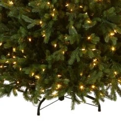7.5 Ft. Pre-Lit Princeton Fraser Fir Tree With PowerConnect And 800 Dual Color LED Lights 16 7.5 Ft. Pre-Lit Princeton Fraser Fir Tree With PowerConnect And 800 Dual Color LED Lights -Christmas Trees Sales PEPO2 D08 75 Silo C2