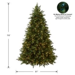 7.5 Ft. Pre-Lit Princeton Fraser Fir Tree With PowerConnect And 800 Dual Color LED Lights 22 7.5 Ft. Pre-Lit Princeton Fraser Fir Tree With PowerConnect And 800 Dual Color LED Lights -Christmas Trees Sales PEPO2 D08 75 Silo Dim