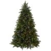 7.5 Ft. Pre-Lit Princeton Fraser Fir Tree With PowerConnect And 800 Dual Color LED Lights
