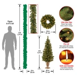 Pre-Lit Evergreen Assortment Set Of 2 Entrance Trees, 1 Wreath, 1 Garland -Christmas Trees Sales PRO7 ASST 10 Dim