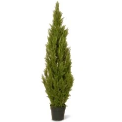 65 In. Cedar Topiary Tree In Dark Green Round Growers Pot