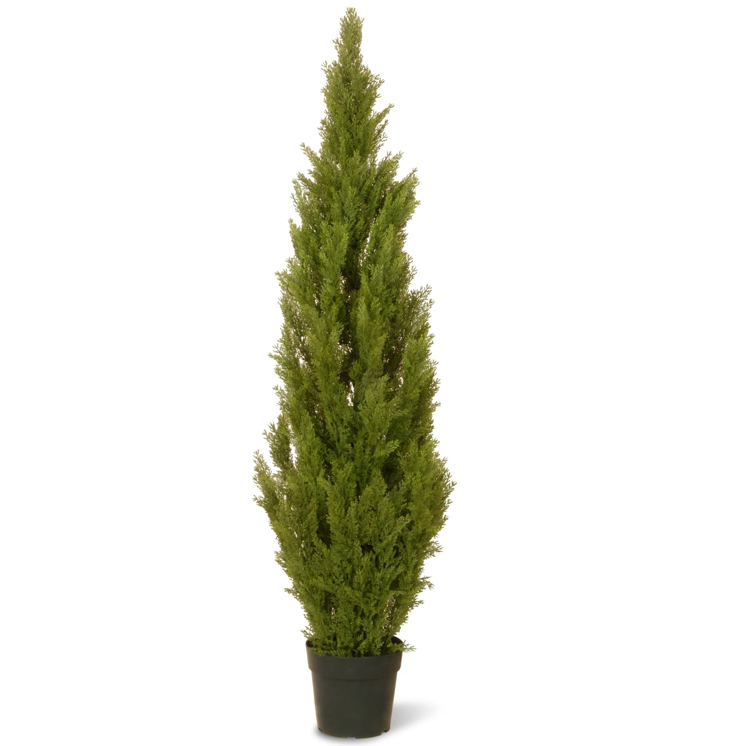 65 In. Cedar Topiary Tree In Dark Green Round Growers Pot 1 65 In. Cedar Topiary Tree In Dark Green Round Growers Pot