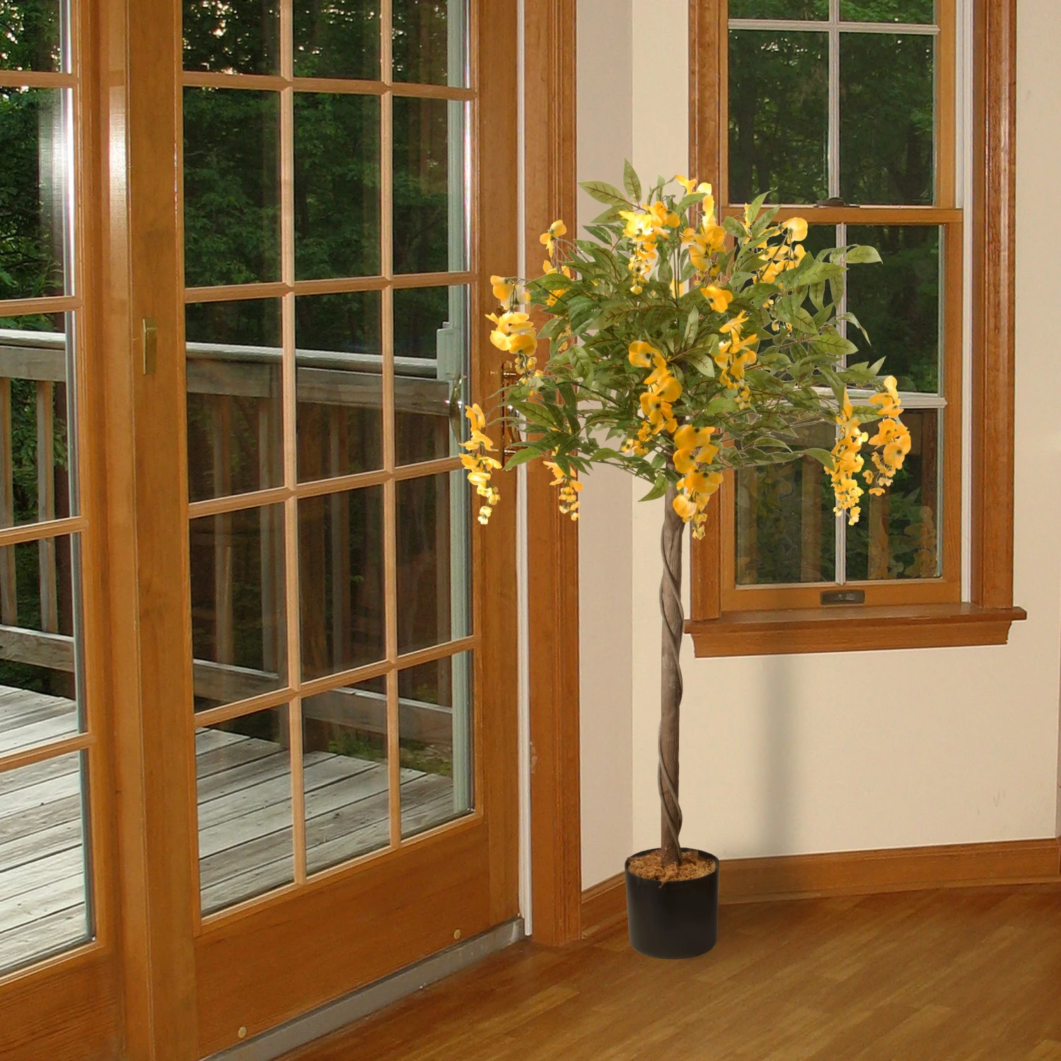 4 Ft. Spring Wisteria Potted Tree With Yellow Flower Blooms In A Black Pot Base 2 4 Ft. Spring Wisteria Potted Tree With Yellow Flower Blooms In A Black Pot Base - Image 2