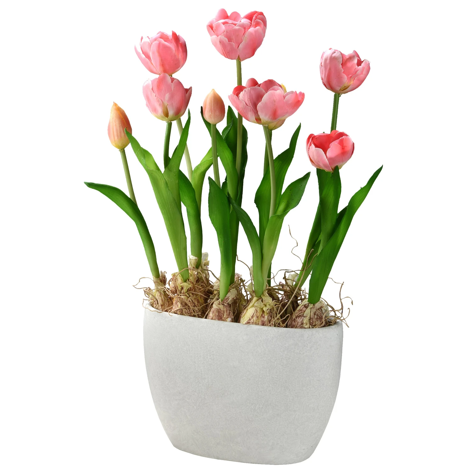18 In. SpringPink Tulips Potted Plant With Vibrant Green Stems In A Stylish Ceramic Pot 1 18 In. SpringPink Tulips Potted Plant With Vibrant Green Stems In A Stylish Ceramic Pot