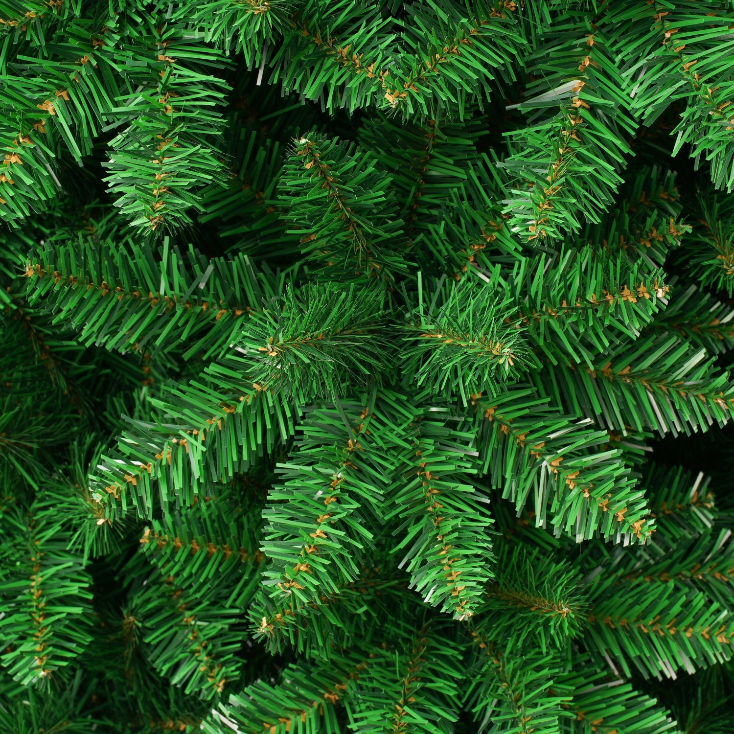 6 Ft. Rowan Pencil Slim Tree 3 6 Ft. Rowan Pencil Slim Tree - Image 3