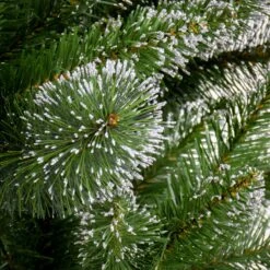 6 Ft. Snowy Sierra Spruce Tree -Christmas Trees Sales SAS64 500 60 3