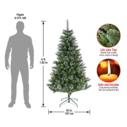 6 Ft. Snowy Sierra Spruce Tree -Christmas Trees Sales SAS64 500 60 Dim