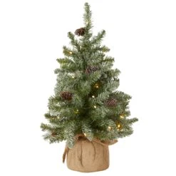 2 Ft. Pre-Lit Snowy Concolor Fir Tree With LED Lights