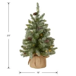 2 Ft. Pre-Lit Snowy Concolor Fir Tree With LED Lights -Christmas Trees Sales SR1 328 20 B1 Silo Dim