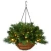 20 In. Pre-Lit Tiffany Fir Hanging Basket With Warm White LED Lights