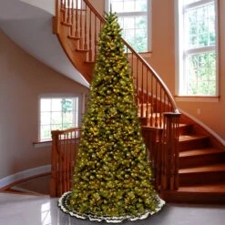 10 Ft. Pre-Lit Tiffany Fir Slim Tree With Clear Lights 5 10 Ft. Pre-Lit Tiffany Fir Slim Tree With Clear Lights -Christmas Trees Sales TFSLH 100LO 2