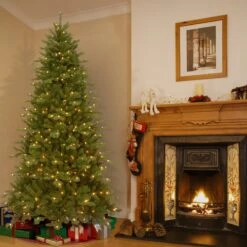 Christmas Trees Sales 4 Christmas Trees Sales -Christmas Trees Sales TPES3 D07T 75M 2