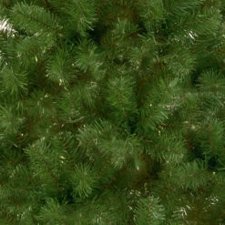 7.5 Ft. Canadian Fir Tree 5 7.5 Ft. Canadian Fir Tree -Christmas Trees Sales WCFG7 500 75 3