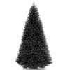 6.5 Ft. North Valley Spruce Black Tree