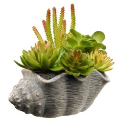 11 In. Spring Potted Plant With Various Green And Orange Succulents In A Stylish Conch Shell Cement Pot