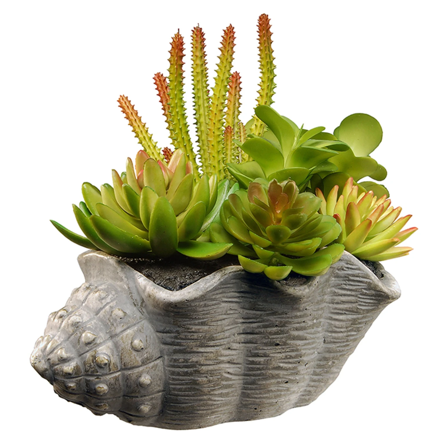 11 In. Spring Potted Plant With Various Green And Orange Succulents In A Stylish Conch Shell Cement Pot 1 11 In. Spring Potted Plant With Various Green And Orange Succulents In A Stylish Conch Shell Cement Pot