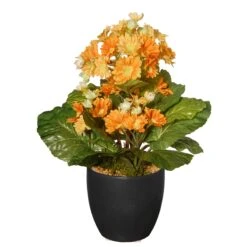 12 In. Spring Orange Flower Blooms Potted Plant In Black Ceramic Pot