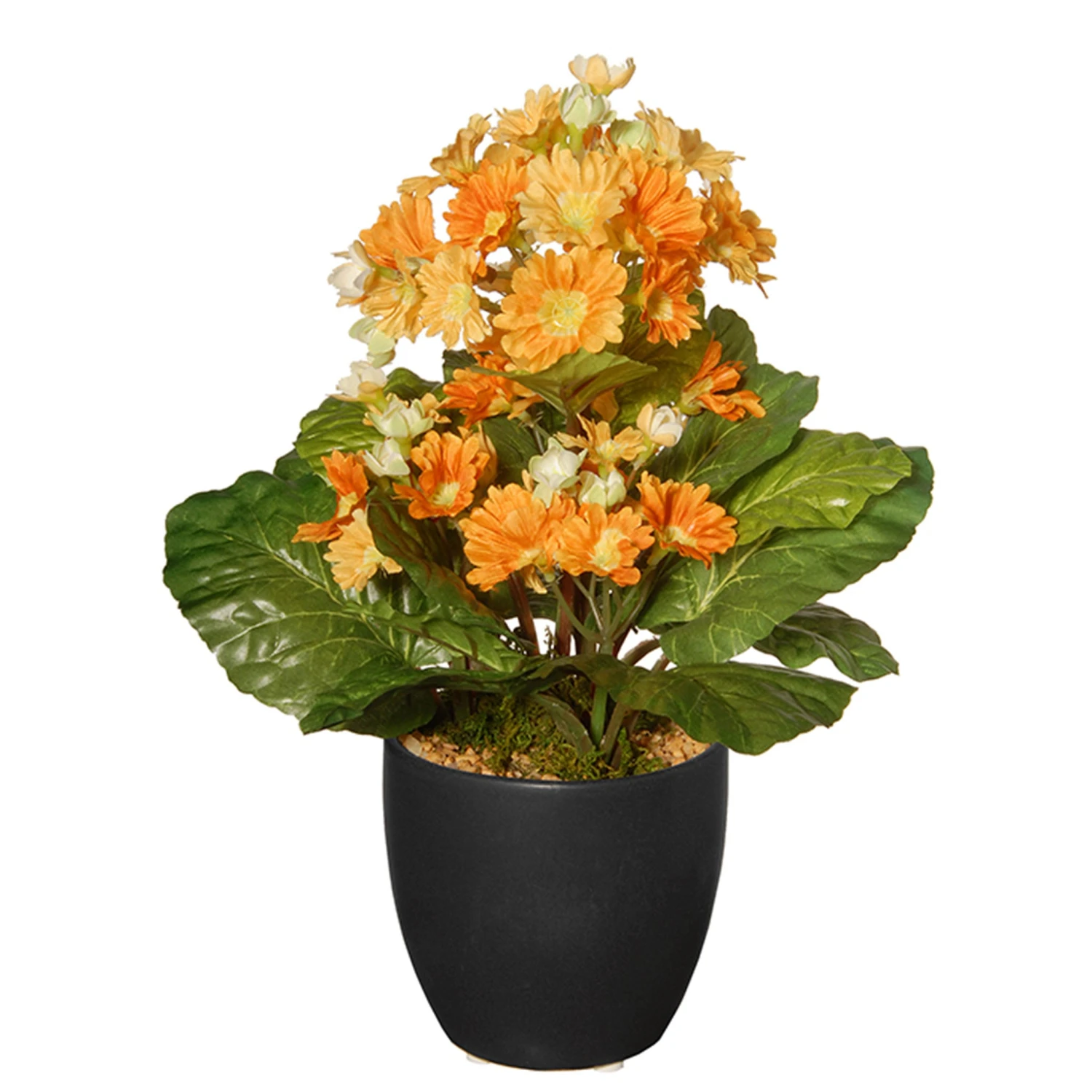 12 In. Spring Orange Flower Blooms Potted Plant In Black Ceramic Pot 1 12 In. Spring Orange Flower Blooms Potted Plant In Black Ceramic Pot