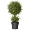 30 In. Mini Tea Leaf 1 Ball In Green Round Growers Pot