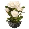 11 In. Spring White Roses Flower Potted Plant In A Black Base