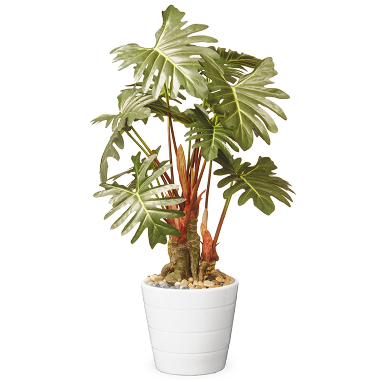 21 In. Spring Potted Philodendron Plant Decoration Garden Accents In Ceramic Pot 1 21 In. Spring Potted Philodendron Plant Decoration Garden Accents In Ceramic Pot