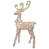 60 In. Reindeer Decoration With Clear Lights