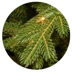 7.5 Ft. Pre-Lit Deluxe Downswept Douglas Fir Tree With PowerConnect Dual Color LED Lights 16 7.5 Ft. Pre-Lit Deluxe Downswept Douglas Fir Tree With PowerConnect Dual Color LED Lights -Christmas Trees Sales website images 1 0001s 0002s 0000 PEPO2LITCU