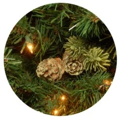 7.5 Ft. Pre-Lit Carolina Pine Tree With 750 Clear Lights 19 7.5 Ft. Pre-Lit Carolina Pine Tree With 750 Clear Lights -Christmas Trees Sales website images 2 0000s 0027s 0002 CAP3 306 75 3