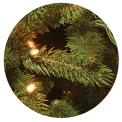 7.5 Ft. Pre-Lit Grande Fir Medium Tree With Clear Lights 17 7.5 Ft. Pre-Lit Grande Fir Medium Tree With Clear Lights -Christmas Trees Sales website images 2 0001s 0003s 0000 PEGF4 CLOSE UP