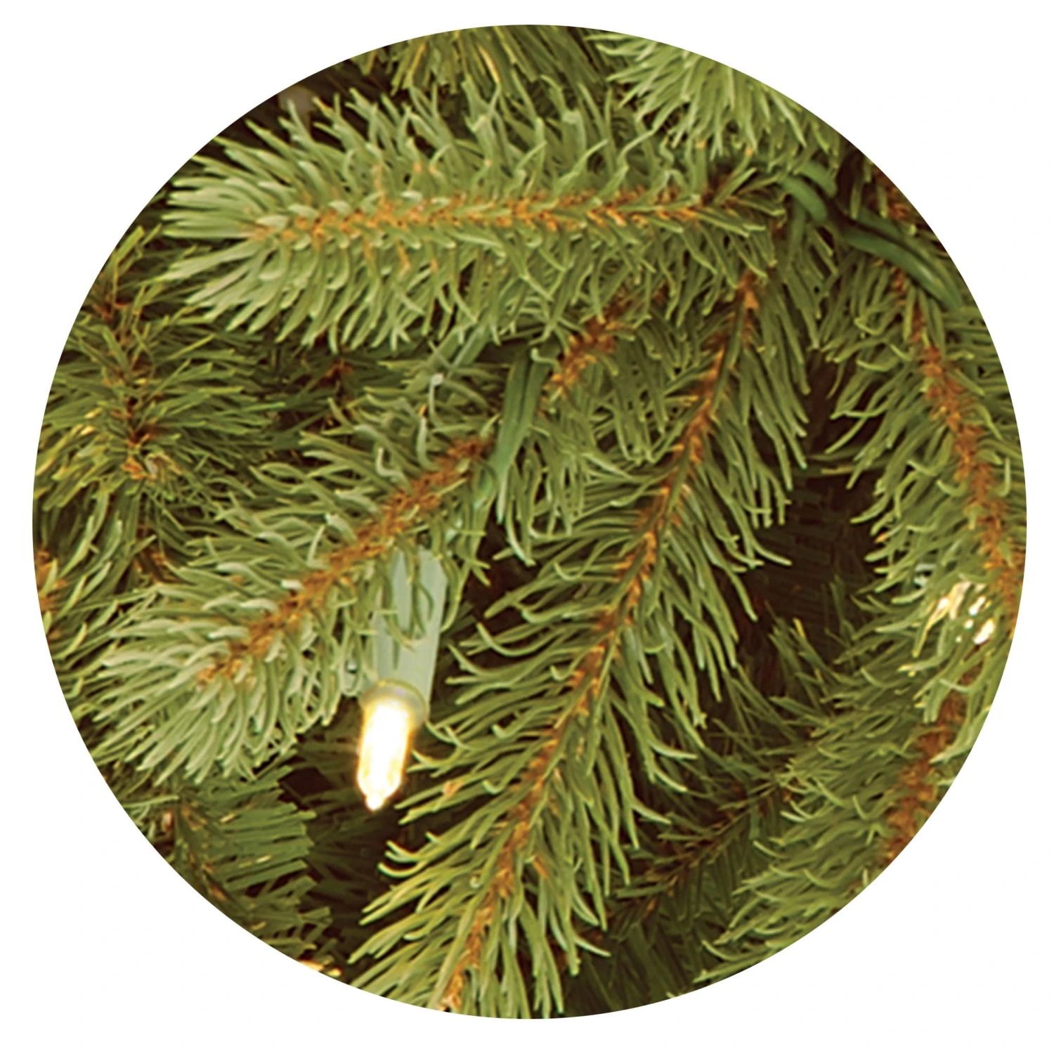 7.5 Ft. Pre-Lit Jersey Fraser Fir Tree With Clear Lights 8 7.5 Ft. Pre-Lit Jersey Fraser Fir Tree With Clear Lights - Image 8
