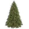 7.5 Ft. Pre-Lit Jersey Fraser Fir Tree With Clear Lights