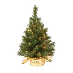 2 Ft. Pre-Lit Majestic Fir Tree With Clear Lights, Gold Base